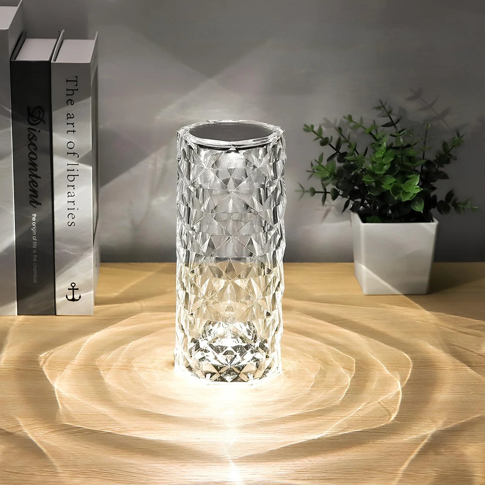Crystal Touch LED Table Lamp  Dimmable Remote Control Light