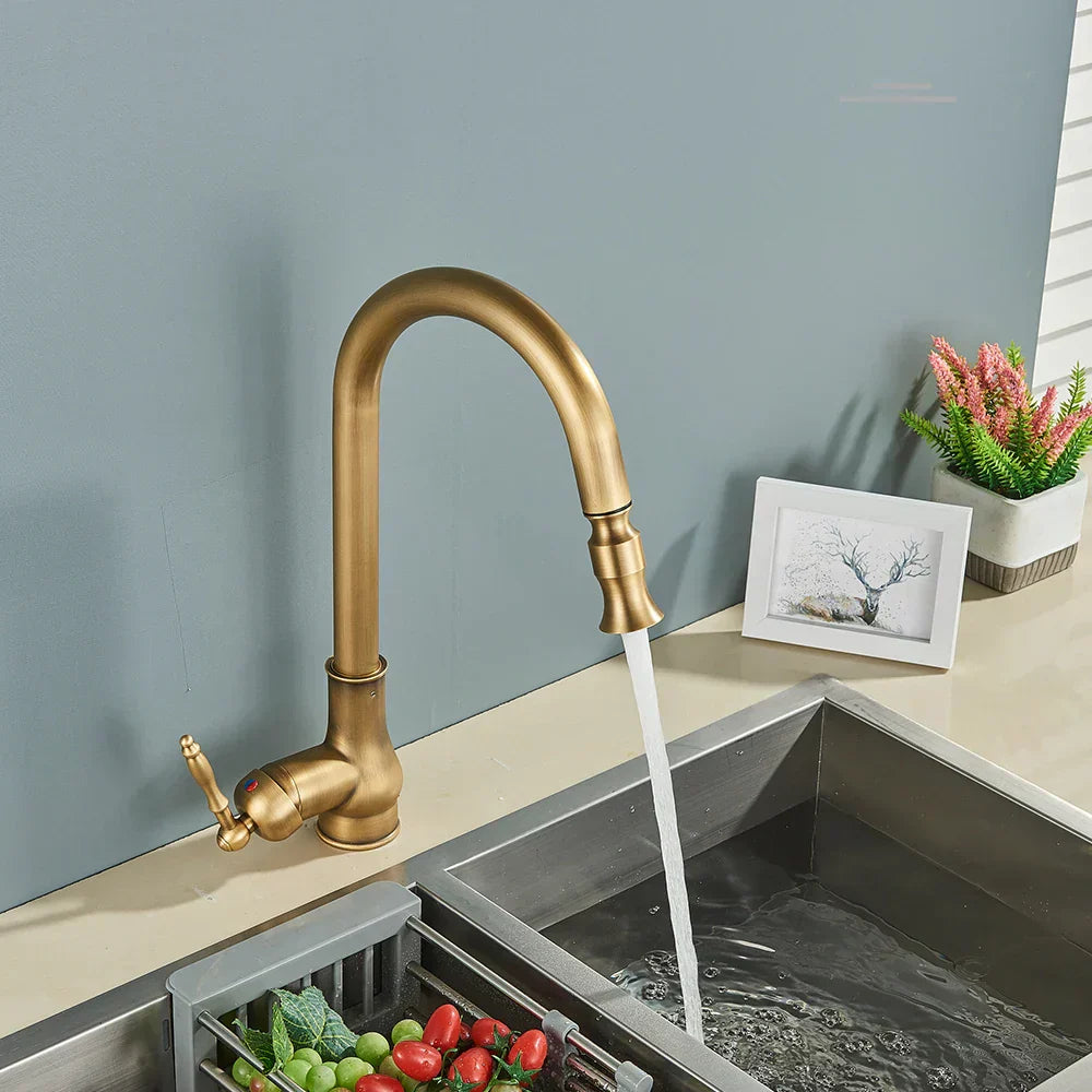 Vintage Style Antique Brass Kitchen Faucet