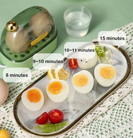 Compact Electric Egg Cooker Fast Auto Power Off Egg Boiler for Home & Travel