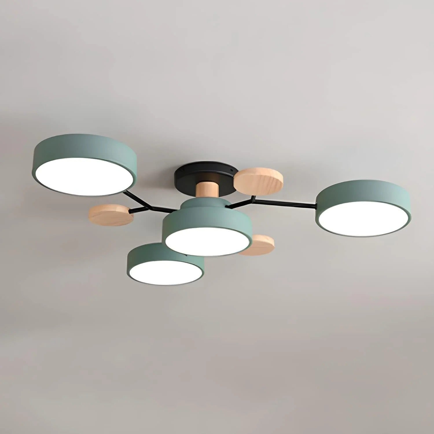 Ceiling Light Modern LED Flush Mount Chandelier
