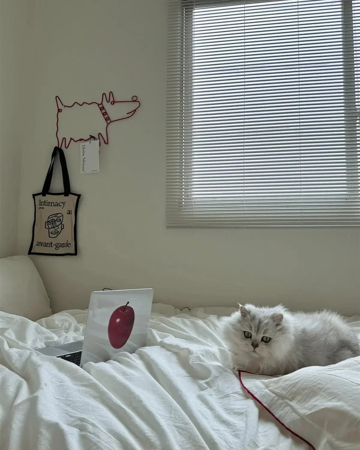 Minimalist Wall Hook Bold Red 5-Hook Organizer for Entryway