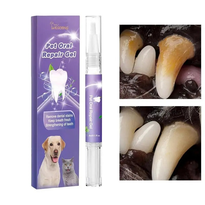 Pet Dental Cleaning Pen Simple Oral Hygiene for Healthy Smile