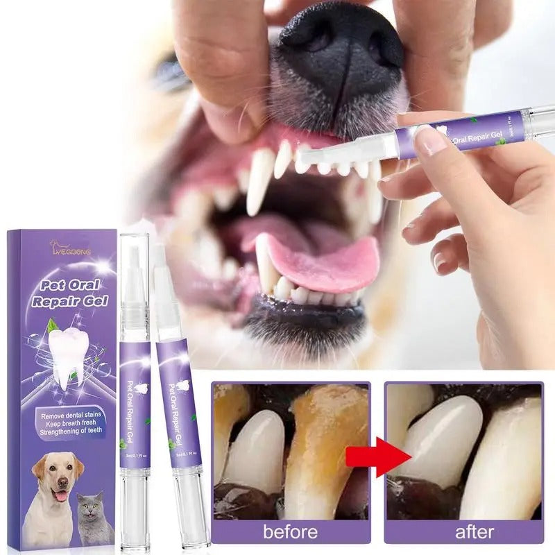 Pet Dental Cleaning Pen Simple Oral Hygiene for Healthy Smile