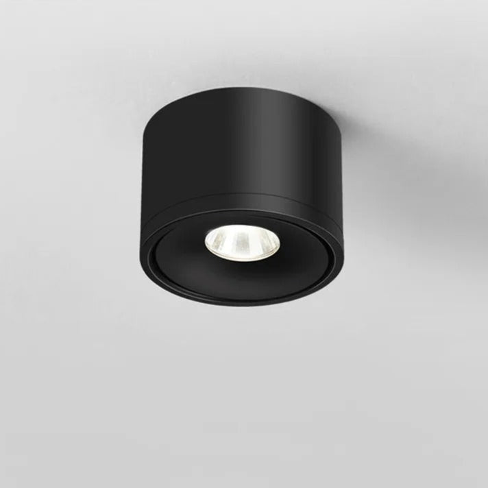Modern Surface Mounted Ceiling Light Directional Rotating Spotlight