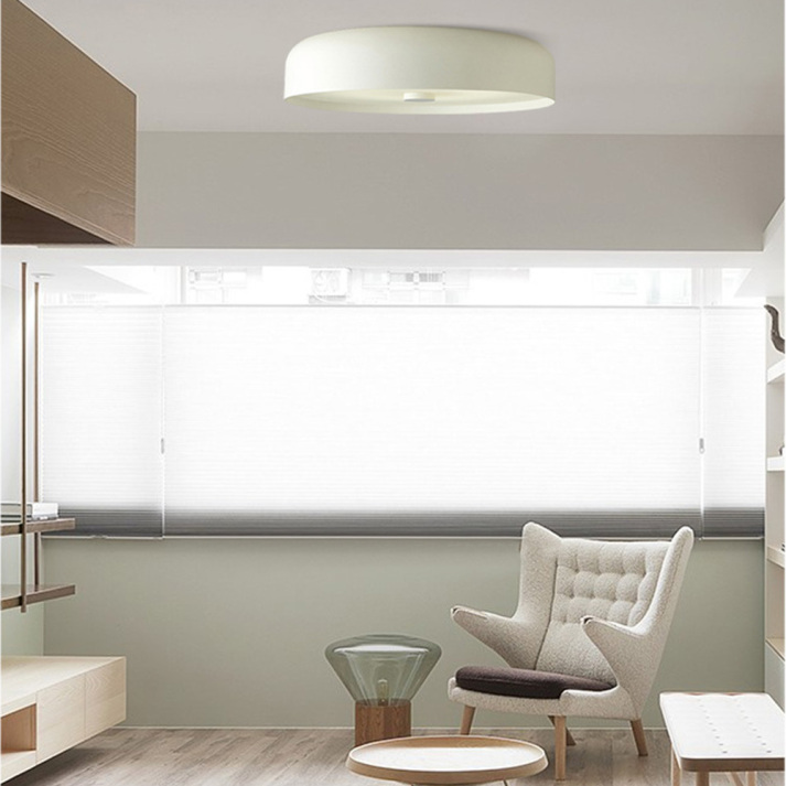Nordic Vintage Style Ceiling Light for Living Room