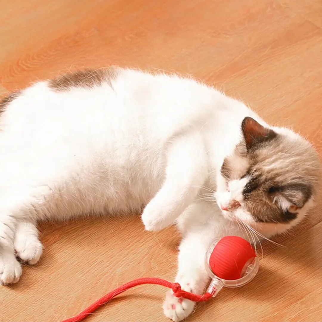 Interactive Cat Toy with Moving Tail Stimulating Rolling Ball for Active Cats