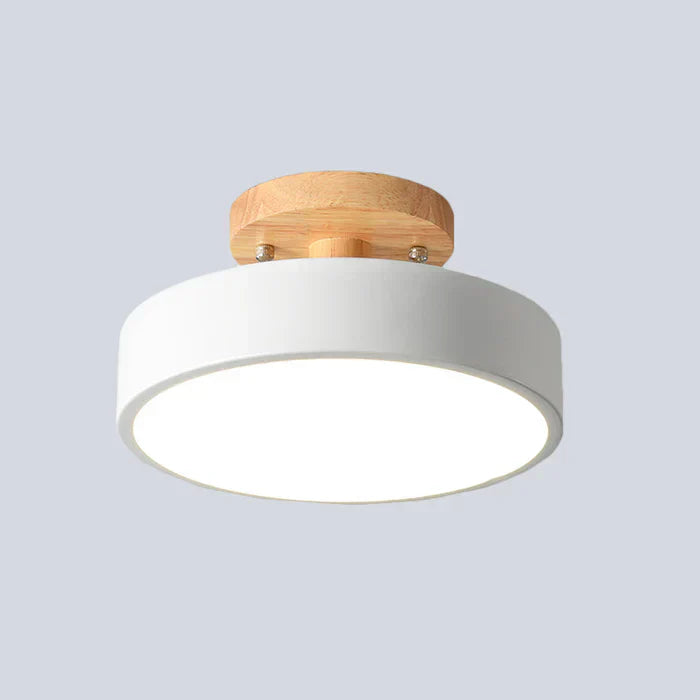Scandinavian LED Ceiling Light Minimalist Semi-Flush Mount
