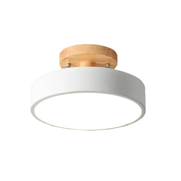 Scandinavian LED Ceiling Light Minimalist Semi-Flush Mount