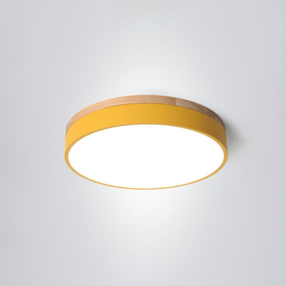 Morandi Smart-Style Ceiling Light Elegant Round Fixture for Modern Interiors